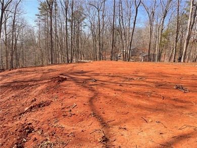 Lot is primed and ready to start your new home on. Pad is set - photo 2