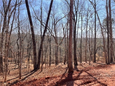 Lot is primed and ready to start your new home on. Pad is set - photo 3