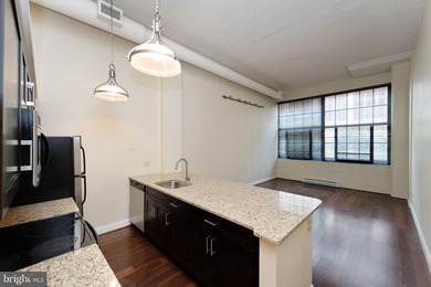 Step into elevated city living with this stunning, light-filled - photo 4