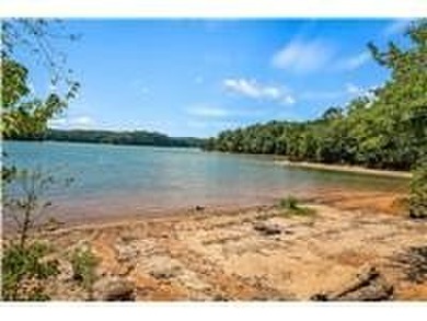 Lot is primed and ready to start your new home on. Pad is set - photo 6