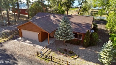 Lake Home For Sale in Lakeside, Arizona