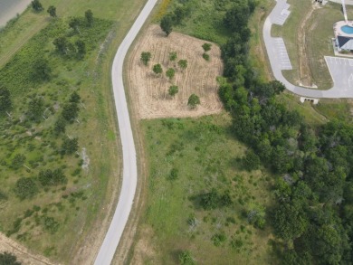 1 acre lot overlooking Lake Halbert w/Boatslip! - photo 37