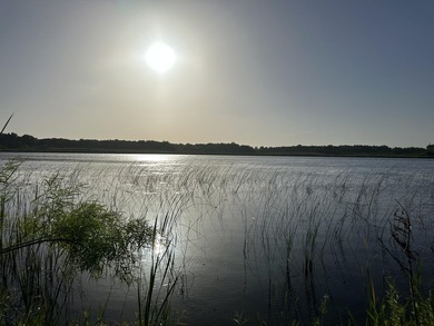 Enjoy peaceful living near Lake Ivanhoe! This charming 1-bedroom - photo 13
