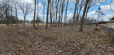 East Loon Lake Lot For Sale in Antioch Illinois