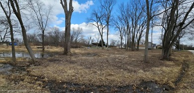 41155 N Lincoln Ave - photo 2