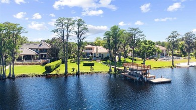 Pretty Lake - Hillsborough County Home Sale Pending in Odessa Florida