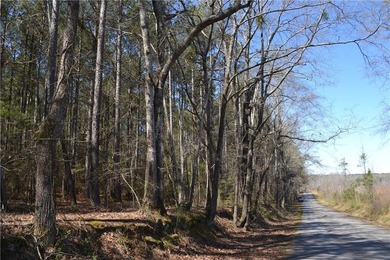 Public Remarks This 6.69-acre parcel is one of the largest - photo 1