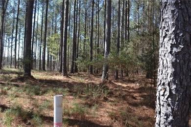 Public Remarks This 6.69-acre parcel is one of the largest - photo 3