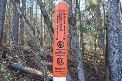 Public Remarks This 6.69-acre parcel is one of the largest - photo 4