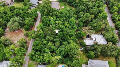 Builders! Take notice ! 232 round frontage! Prime opportunity to - photo 11