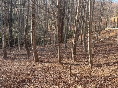 (private lake, pond, creek) Lot For Sale in Fancy Gap Virginia