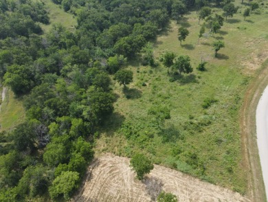 1 acre lot overlooking Lake Halbert w/Boatslip! - photo 36