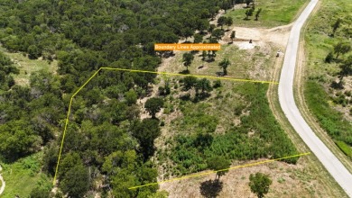 1 acre lot overlooking Lake Halbert w/Boatslip! - photo 3