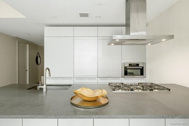 **A Tribeca Oasis: Expansive Terrace Living at 101 Warren Street - photo 6