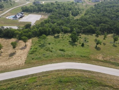 1 acre lot overlooking Lake Halbert w/Boatslip! - photo 33