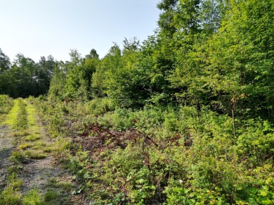  Acreage For Sale in Springfield Maine