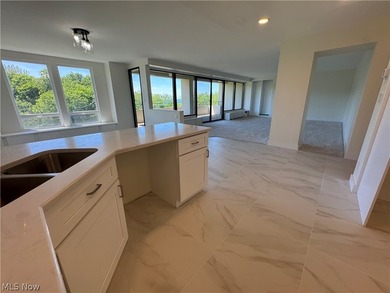 Step into luxury lake-front living in this totally renovated 2/3 - photo 13
