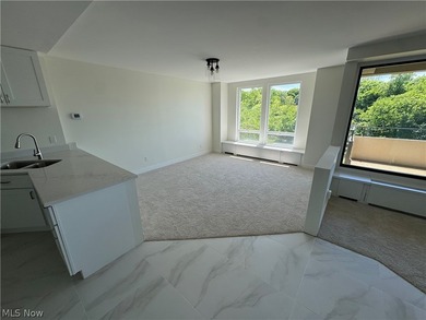 Step into luxury lake-front living in this totally renovated 2/3 - photo 14
