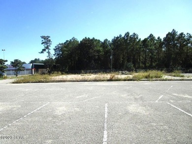 +/-1.134 Acre commercial site near the Hathaway Bridge. Located - photo 10