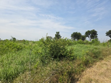 1 acre lot overlooking Lake Halbert w/Boatslip! - photo 10