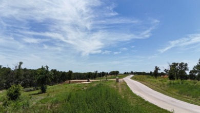 1 acre lot overlooking Lake Halbert w/Boatslip! - photo 29