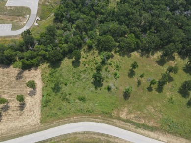 1 acre lot overlooking Lake Halbert w/Boatslip! - photo 34