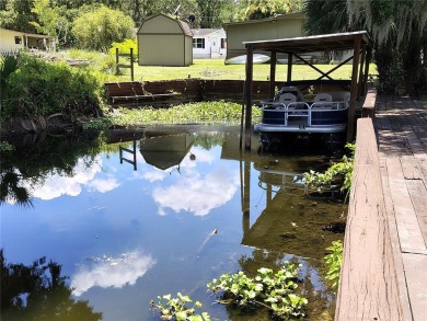 Lake Home For Sale in Lake Panasoffkee, Florida