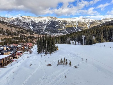 Welcome to 560 Beeler Place, an extraordinary mountain retreat - photo 39