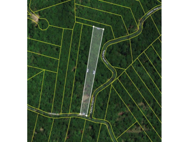 (private lake, pond, creek) Acreage For Sale in Chilhowie Virginia