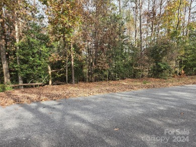 Lake Acreage For Sale in Hickory, North Carolina