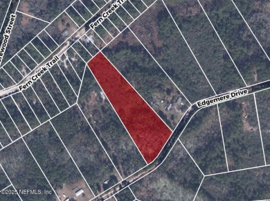 Lake Acreage For Sale in Georgetown, Florida