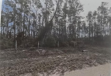 3.16 acres of land ready for your dream home. The land already - photo 8
