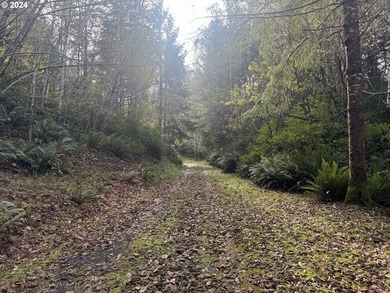 YOUR CHANCE TO OWN 5.34 +/- ACRES with Approx. 60' OF SOUTH - photo 12