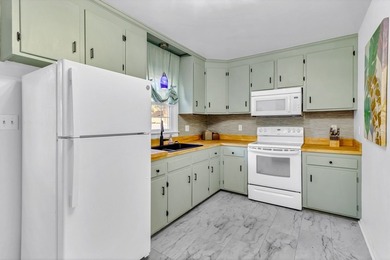 WATER ACCESS & TONS OF GREAT UPGRADES! Welcome to 151 Badger Rd - photo 13