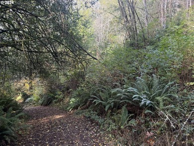 YOUR CHANCE TO OWN 5.34 +/- ACRES with Approx. 60' OF SOUTH - photo 15