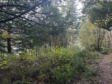 YOUR CHANCE TO OWN 5.34 +/- ACRES with Approx. 60' OF SOUTH - photo 16