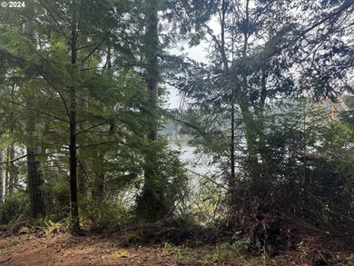 YOUR CHANCE TO OWN 5.34 +/- ACRES with Approx. 60' OF SOUTH - photo 17