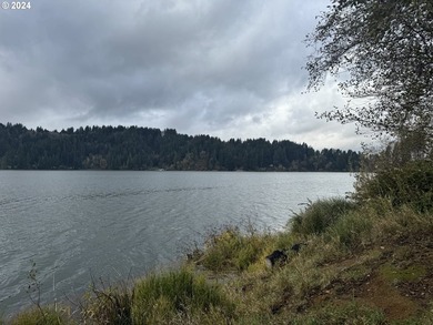 YOUR CHANCE TO OWN 5.34 +/- ACRES with Approx. 60' OF SOUTH - photo 19