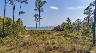 Gulf Breeze waterfront sound lot with some wetlands. Wetlands - photo 22