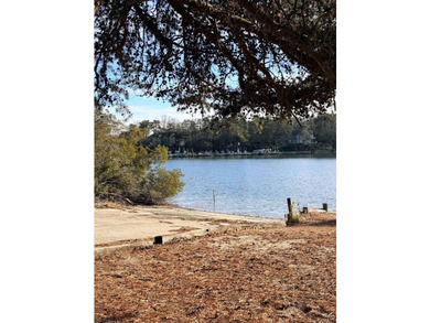 WATER ACCESS & TONS OF GREAT UPGRADES! Welcome to 151 Badger Rd - photo 43