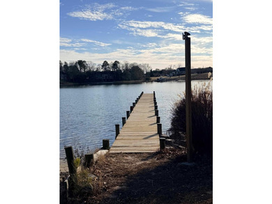 WATER ACCESS & TONS OF GREAT UPGRADES! Welcome to 151 Badger Rd - photo 44