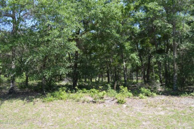 (private lake, pond, creek) Lot Sale Pending in Supply North Carolina