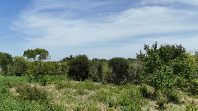 1 acre lot overlooking Lake Halbert w/Boatslip! - photo 30