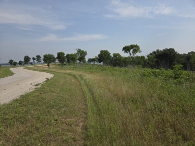 1 acre lot overlooking Lake Halbert w/Boatslip! - photo 9