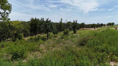 1 acre lot overlooking Lake Halbert w/Boatslip! - photo 27