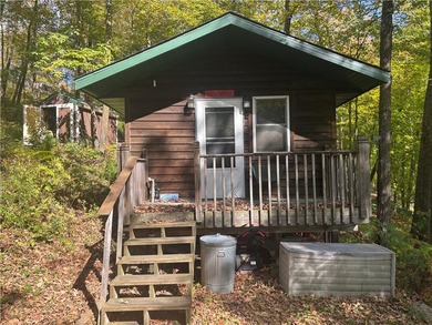 Balsam Lake Home For Sale in Birchwood Wisconsin