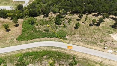 1 acre lot overlooking Lake Halbert w/Boatslip! - photo 24