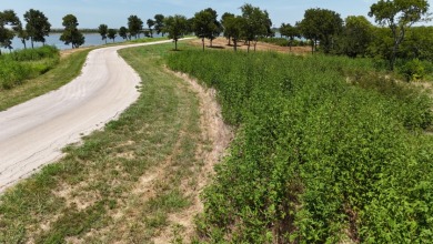 1 acre lot overlooking Lake Halbert w/Boatslip! - photo 31