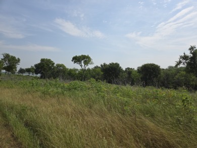 1 acre lot overlooking Lake Halbert w/Boatslip! - photo 12