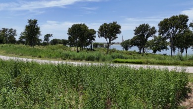 1 acre lot overlooking Lake Halbert w/Boatslip! - photo 28